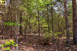 property photo for Autumnwood Tract 7, 7.46 acres for sale in Fulton County, Arkansas