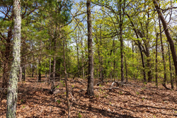 property photo for Autumnwood Tract 7, 7.46 acres for sale in Fulton County, Arkansas