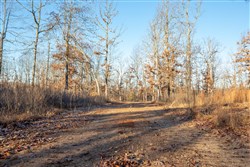 property photo for Dutchmanhollow Tract 6, 6.41 acres for sale in Fulton County, Arkansas
