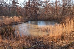 property photo for Dutchmanhollow Tract 6, 6.41 acres for sale in Fulton County, Arkansas