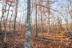 property photo for Dutchmanhollow Tract 6, 6.41 acres for sale in Fulton County, Arkansas