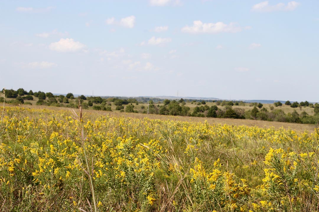 Tract 22 at Cowboy Meadows in Chautauqua County, Kansas
