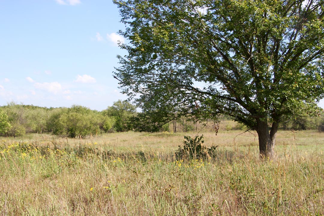 Tract 24 at Cowboy Meadows in Chautauqua County, Kansas