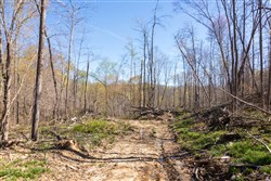 property photo for Creek Hollow Phase I Tract 44, 8.74 acres for sale in Rockcastle County, Kentucky