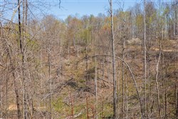 property photo for Creek Hollow Phase I Tract 44, 8.74 acres for sale in Rockcastle County, Kentucky
