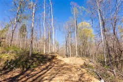 property photo for Creek Hollow Phase I Tract 44, 8.74 acres for sale in Rockcastle County, Kentucky