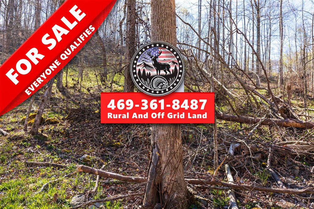 8.74 acre rural land tract for sale at Creek Hollow Phase I Tract 44 in Rockcastle County, Kentucky