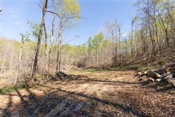 property photo for Blue Grass Ridge Tract 11, 9.14 acres for sale in Wayne County, Kentucky