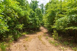 property photo for Cypress Ridge Tract 22, 9.53 acres for sale in Reynolds County, Missouri