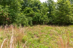 property photo for Cypress Ridge Tract 22, 9.53 acres for sale in Reynolds County, Missouri