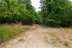 property photo for Cypress Ridge Tract 22, 9.53 acres for sale in Reynolds County, Missouri
