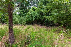 property photo for Cypress Ridge Tract 22, 9.53 acres for sale in Reynolds County, Missouri