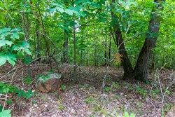 property photo for Cypress Ridge Tract 22, 9.53 acres for sale in Reynolds County, Missouri