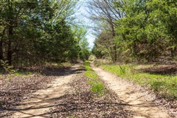 property photo for Prairie Grove Tract 12, 5.6 acres for sale in Okfuskee County, Oklahoma
