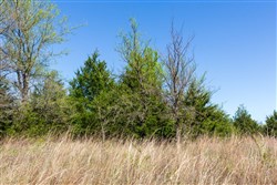 property photo for Prairie Grove Tract 12, 5.6 acres for sale in Okfuskee County, Oklahoma