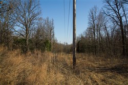 property photo for Eufaula Cove Tract 19, 5.5 acres for sale in Pittsburg County, Oklahoma