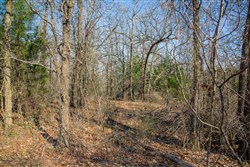 property photo for Eufaula Cove Tract 19, 5.5 acres for sale in Pittsburg County, Oklahoma