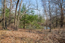 property photo for Eufaula Cove Tract 19, 5.5 acres for sale in Pittsburg County, Oklahoma
