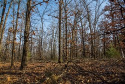 property photo for Eufaula Cove Tract 20, 9.77 acres for sale in Pittsburg County, Oklahoma