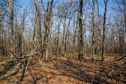 property photo for Eufaula Cove Tract 20, 9.77 acres for sale in Pittsburg County, Oklahoma