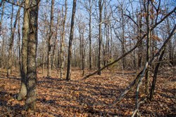 property photo for Eufaula Cove Tract 20, 9.77 acres for sale in Pittsburg County, Oklahoma