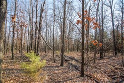 property photo for Eufaula Cove Tract 20, 9.77 acres for sale in Pittsburg County, Oklahoma