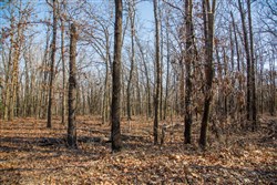 property photo for Eufaula Cove Tract 20, 9.77 acres for sale in Pittsburg County, Oklahoma