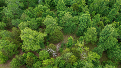 property photo for Falcon Crest Tract 19, 5.19 acres for sale in Pushmataha County, Oklahoma