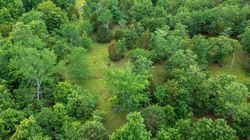 property photo for Falcon Crest Tract 19, 5.19 acres for sale in Pushmataha County, Oklahoma