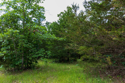 property photo for Falcon Crest Tract 19, 5.19 acres for sale in Pushmataha County, Oklahoma