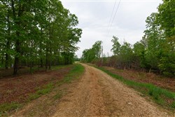 property photo for Red Barn Ranch Tract 12, 8.04 acres for sale in Benton County, Tennessee