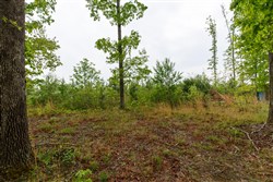property photo for Red Barn Ranch Tract 12, 8.04 acres for sale in Benton County, Tennessee