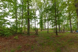 property photo for Red Barn Ranch Tract 12, 8.04 acres for sale in Benton County, Tennessee