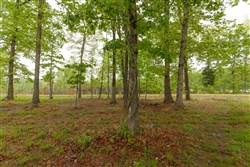 property photo for Red Barn Ranch Tract 12, 8.04 acres for sale in Benton County, Tennessee