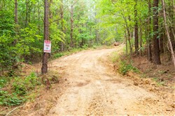 property photo for Whiskey Ridge Tract 85, 12.9 acres for sale in Henderson County, Tennessee