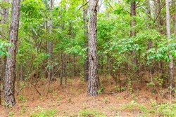 property photo for Whiskey Ridge Tract 85, 12.9 acres for sale in Henderson County, Tennessee