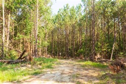 property photo for Whiskey Ridge Tract 88, 9.37 acres for sale in Henderson County, Tennessee