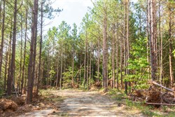 property photo for Whiskey Ridge Tract 88, 9.37 acres for sale in Henderson County, Tennessee