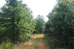 property photo for Sugartree Falls Tract 10, 5.23 acres for sale in Wayne County, Tennessee