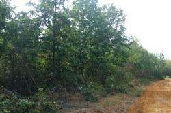property photo for Sugartree Falls Tract 10, 5.23 acres for sale in Wayne County, Tennessee