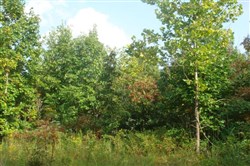 property photo for Sugartree Falls Tract 10, 5.23 acres for sale in Wayne County, Tennessee