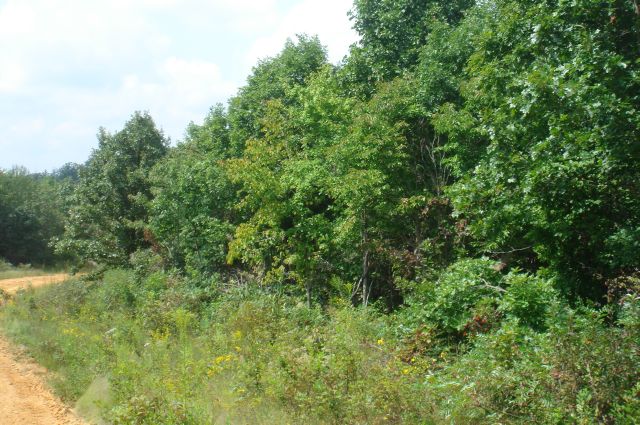 Tract 18 at Sugartree Falls in Wayne County, Tennessee