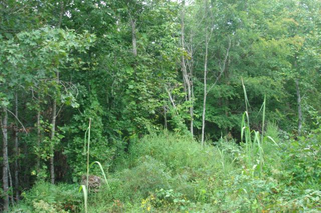 Tract 19 at Sugartree Falls in Wayne County, Tennessee