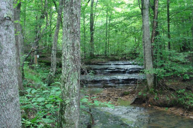 Tract 24 at Sugartree Falls in Wayne County, Tennessee