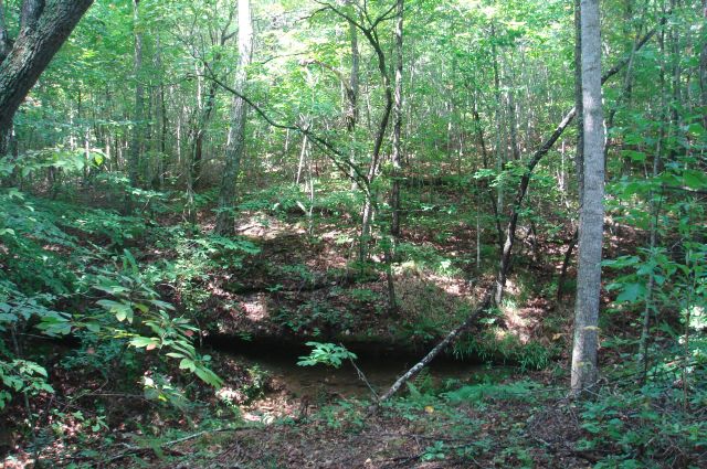 Tract 28 at Sugartree Falls in Wayne County, Tennessee