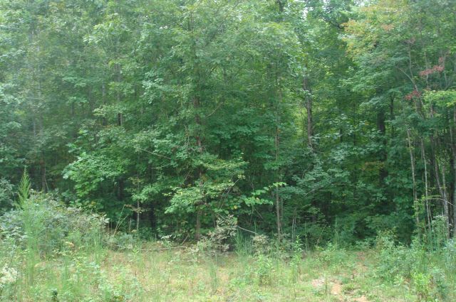 Tract 29 at Sugartree Falls in Wayne County, Tennessee