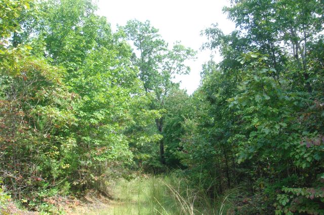Tract 30 at Sugartree Falls in Wayne County, Tennessee