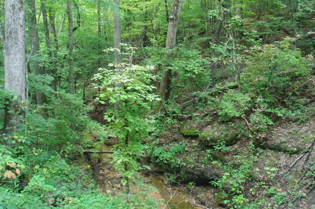 Tract 32 at Sugartree Falls in Wayne County, Tennessee