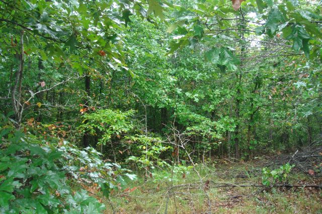 Tract 37 at Sugartree Falls in Wayne County, Tennessee