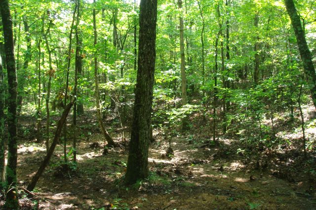 Tract 38 at Sugartree Falls in Wayne County, Tennessee